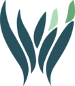 Wellness Intelligence Learn