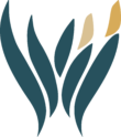 The Wellness Intelligence Institute